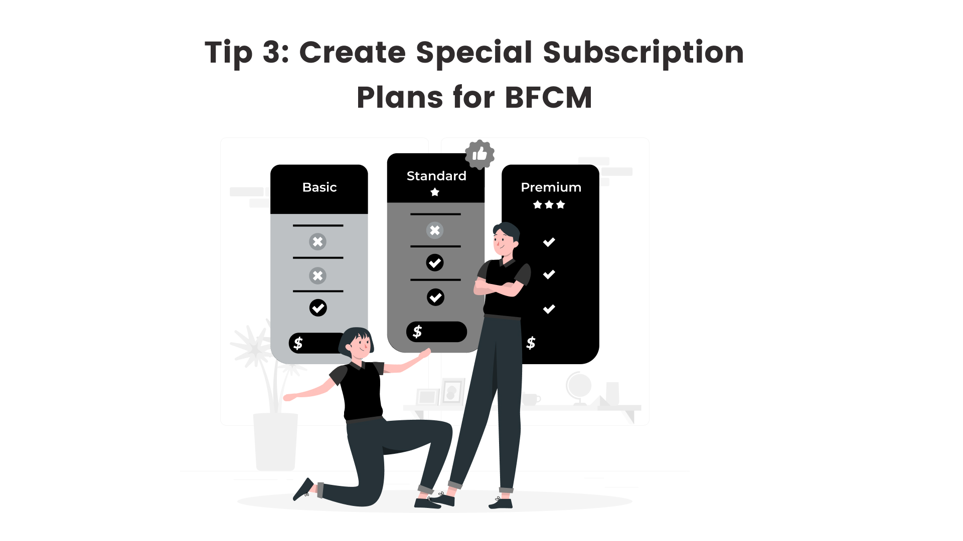 Tip 3: Create Special Subscription Plans for BFCM