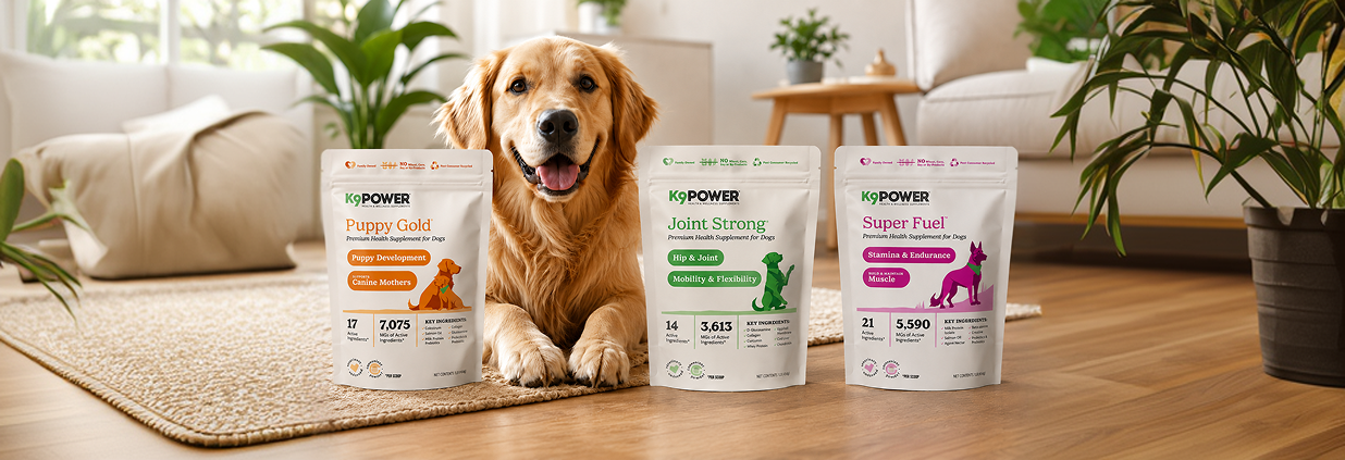K9 Power - Shop Premium Dog Supplements & Vitamins